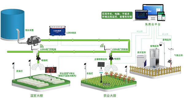 四情建大结构图
